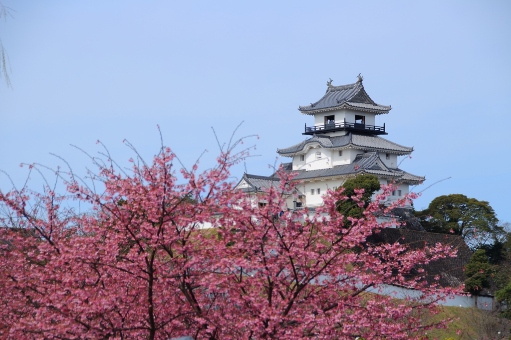 城と桜