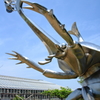 カブト虫