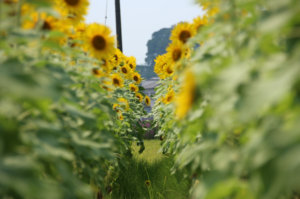 まだまだ夏～♪その3