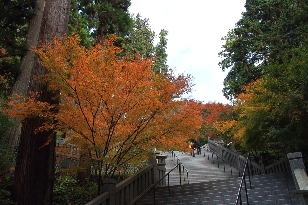 紅葉狩りも楽じゃない