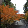 紅葉狩りも楽じゃない