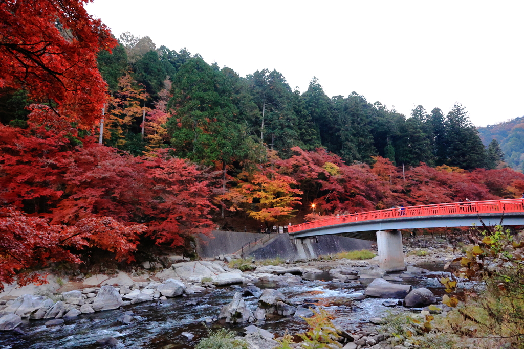 足助の紅葉