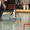 5センチなんて楽勝！