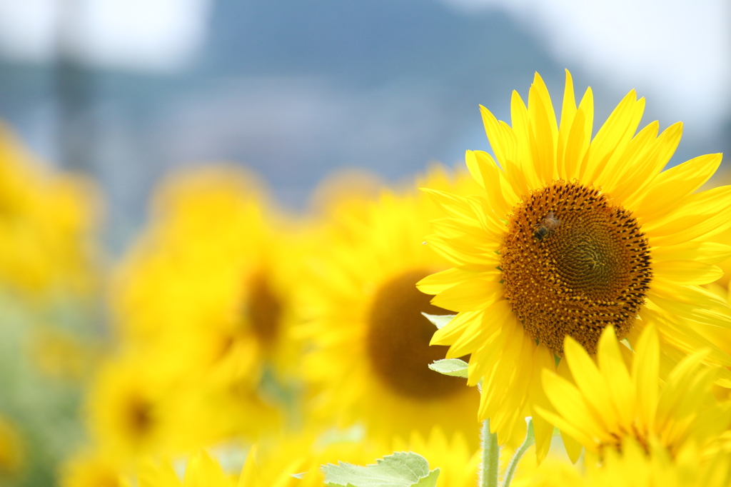 まだまだ夏～♪その1