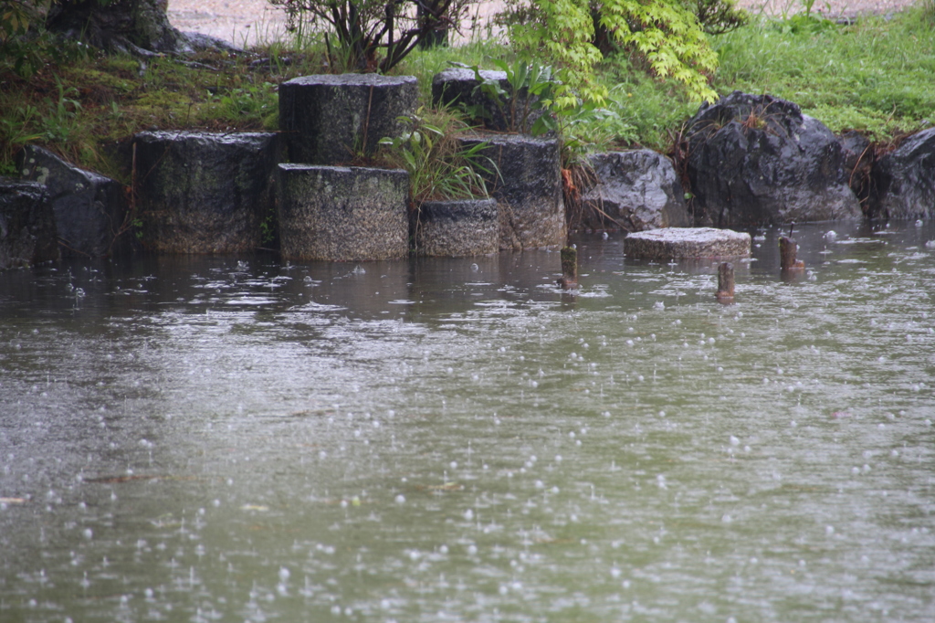 雨の丸山公園3