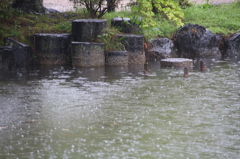 雨の丸山公園3