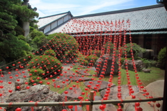 遠州三山風鈴まつり　可睡斎赤富士