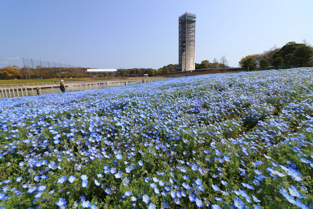 あそこには遠く及びませんが。。。