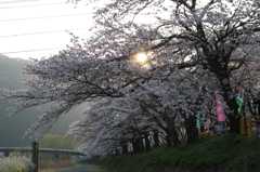夕暮れ