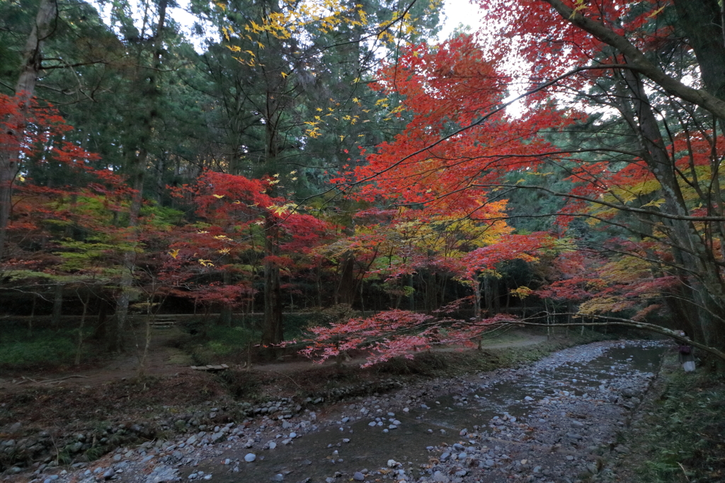 山間の紅葉