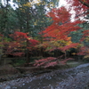 山間の紅葉