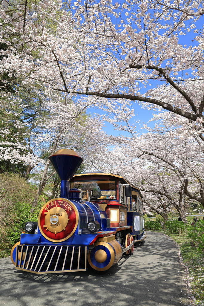 春色の汽車に乗って