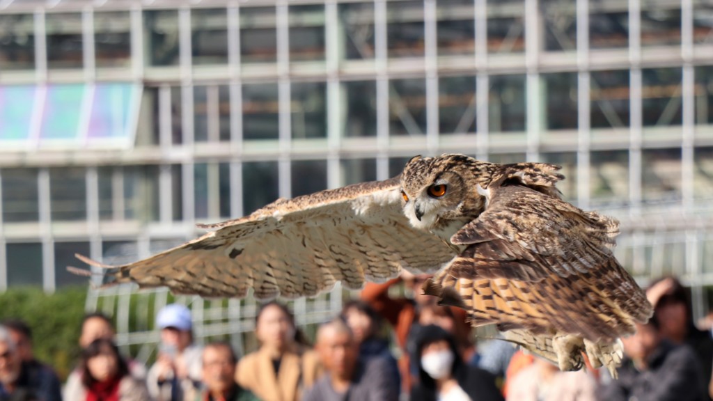 飛んで飛んで飛んで飛んで飛んで～♪