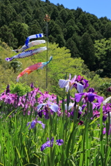 こどもの日コラボレーション