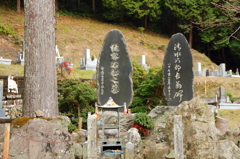 あんた江戸っ子だってね、食いねぇ、寿司を食いねぇ