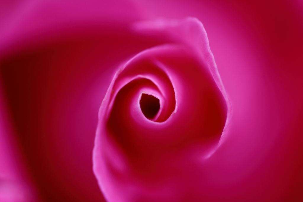 whirlpool