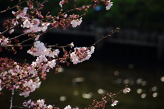 よくある風景