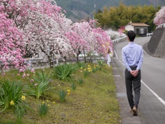 花桃と夫