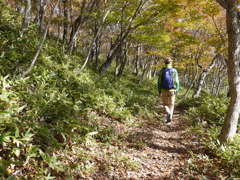 紅葉がり