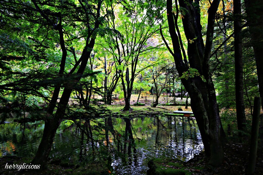 風景
