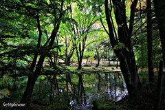 風景