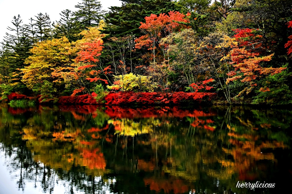 風景