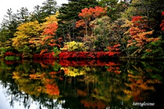 風景