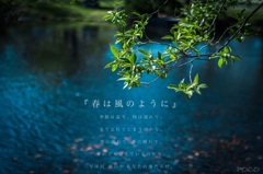 春は風のように