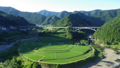 初夏のあらぎ島