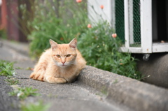 一度やってみたかったふんわり系 少し飛びぎみ