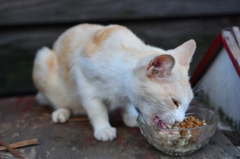 食らう