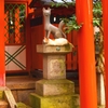 花を生かしてみたつもり