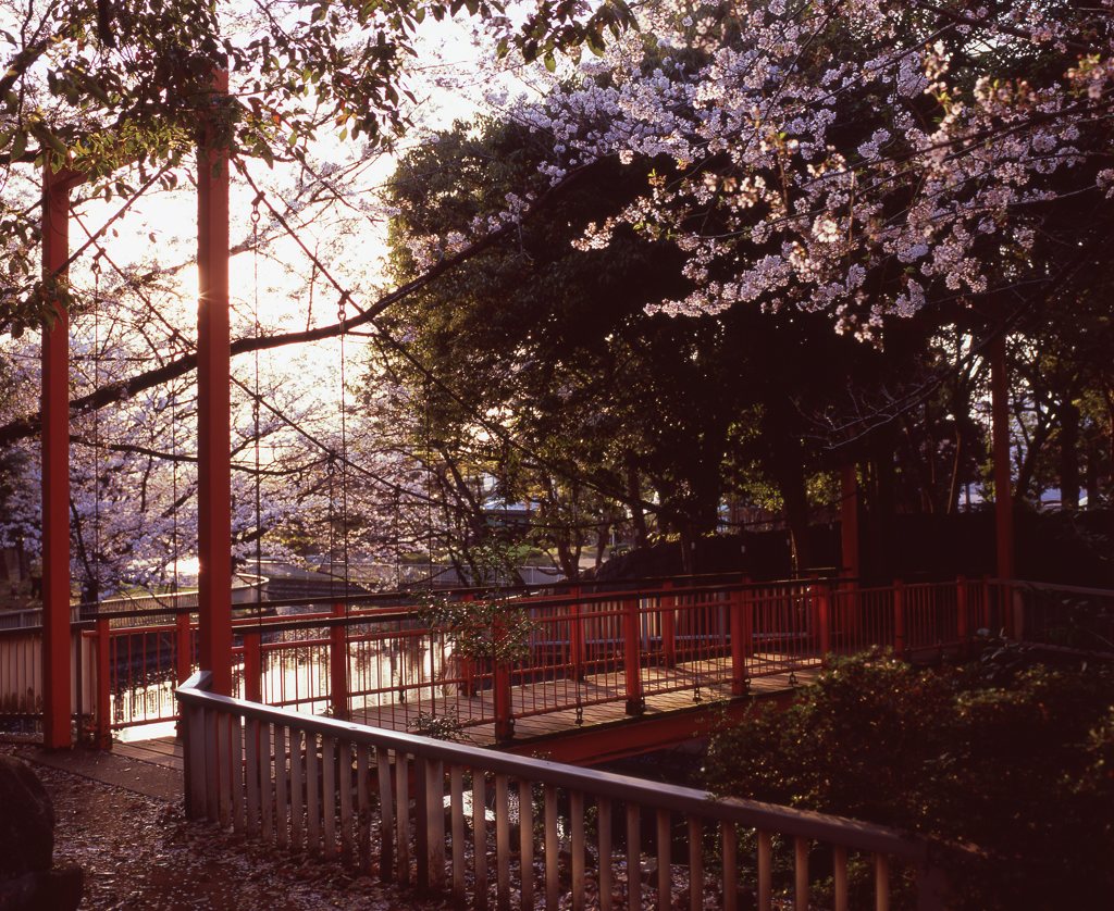 吊り橋