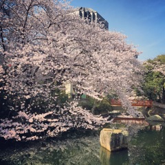 貴重な晴れ間に