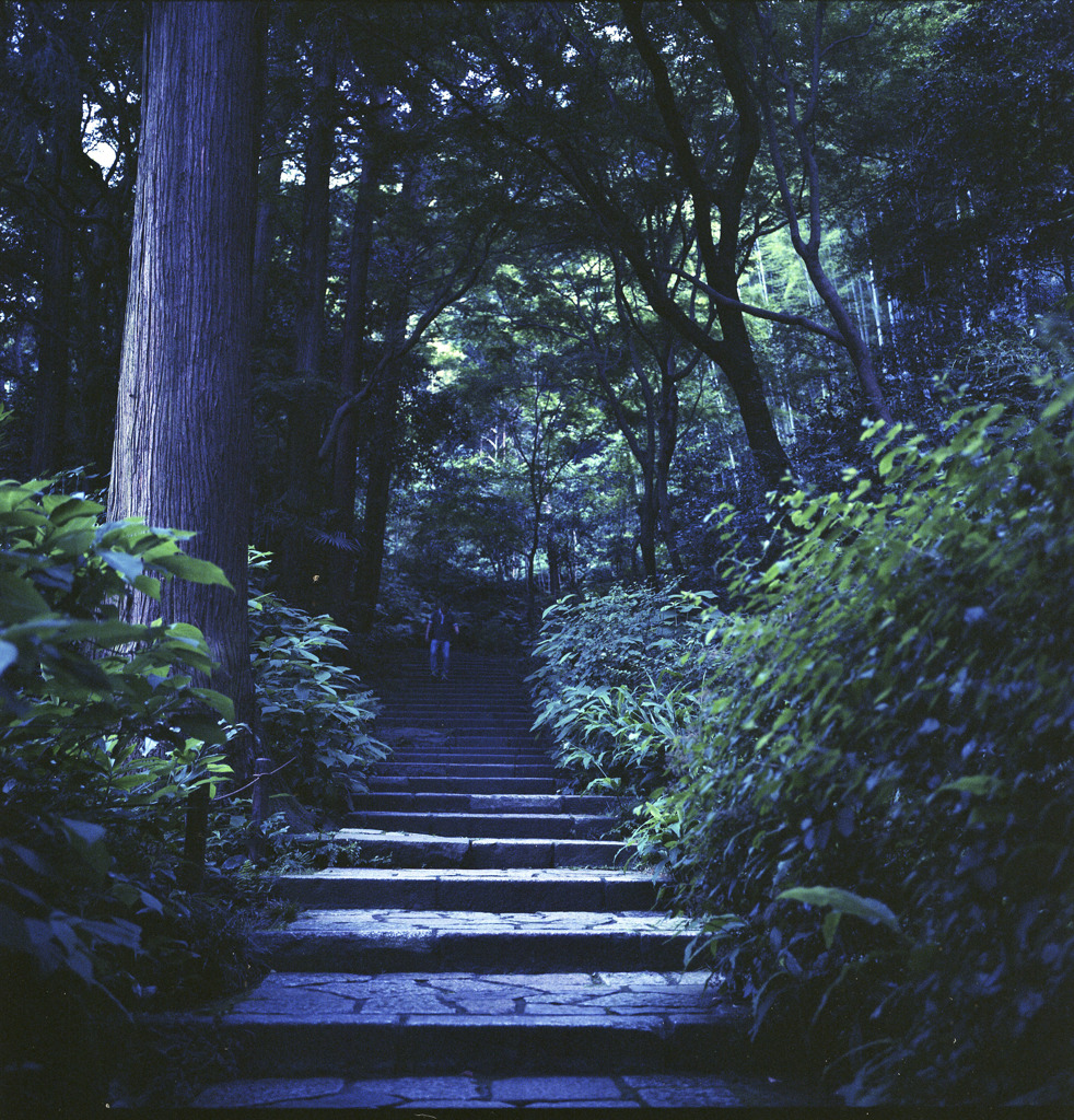 参道