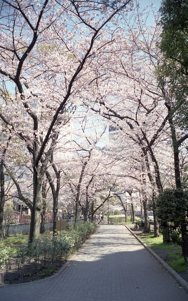 トンネル