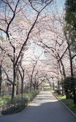 トンネル