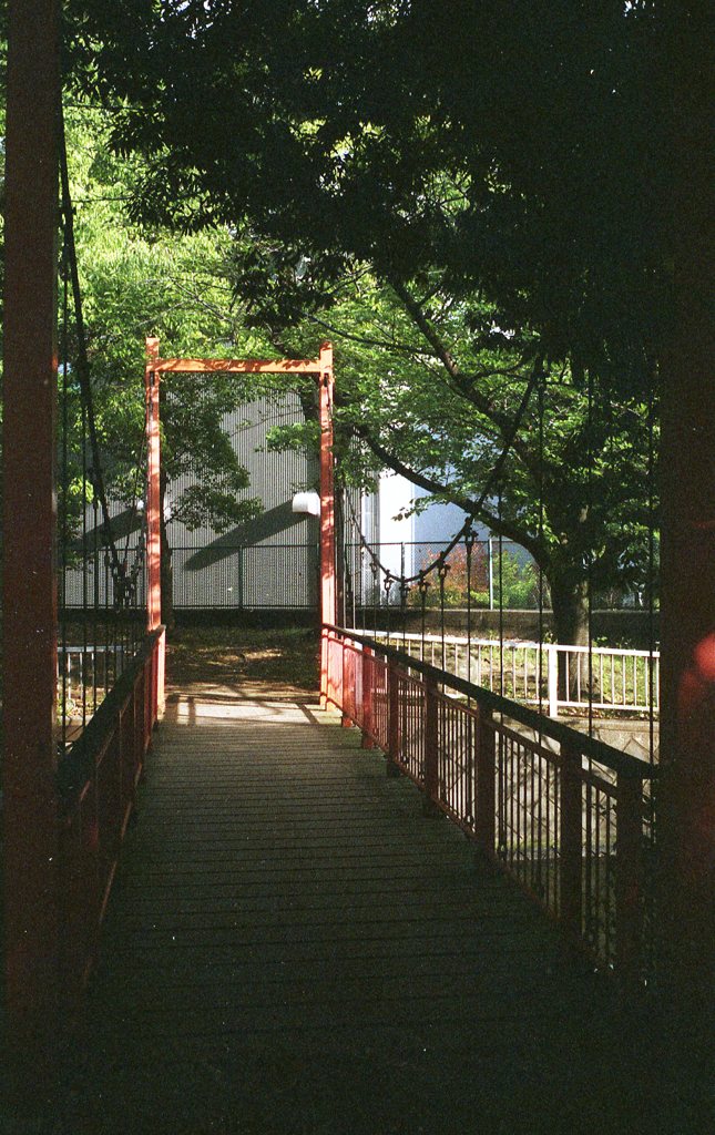 Bridge
