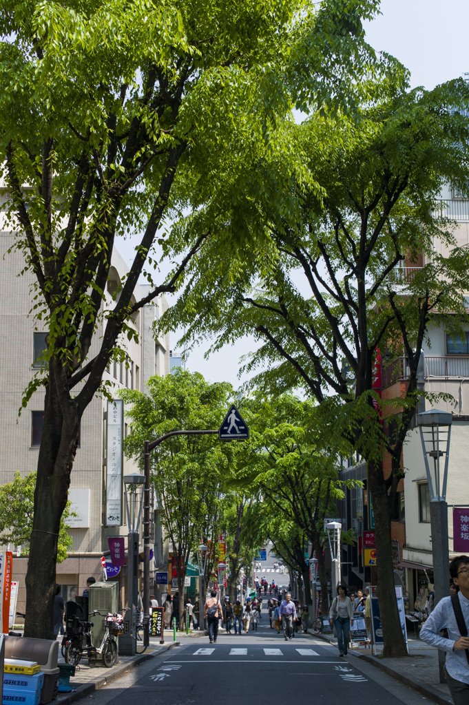 kagurazaka