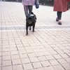 さんぽ