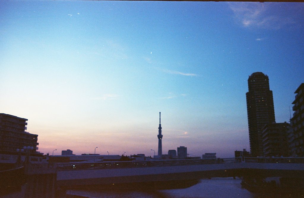 夕陽