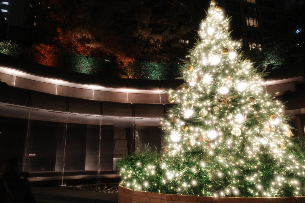 クリスマスツリーと紅葉