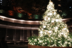 クリスマスツリーと紅葉