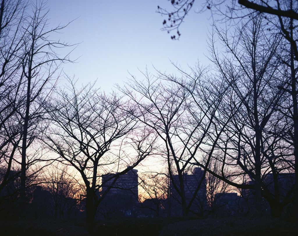 silhouette