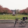 ピクニック、配達します