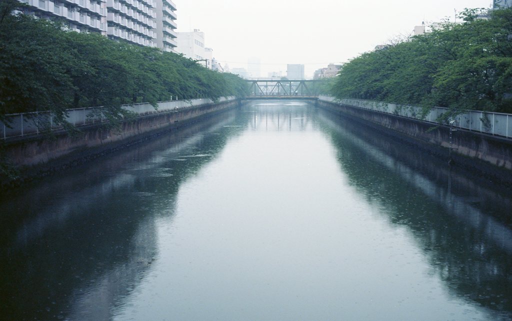 雨