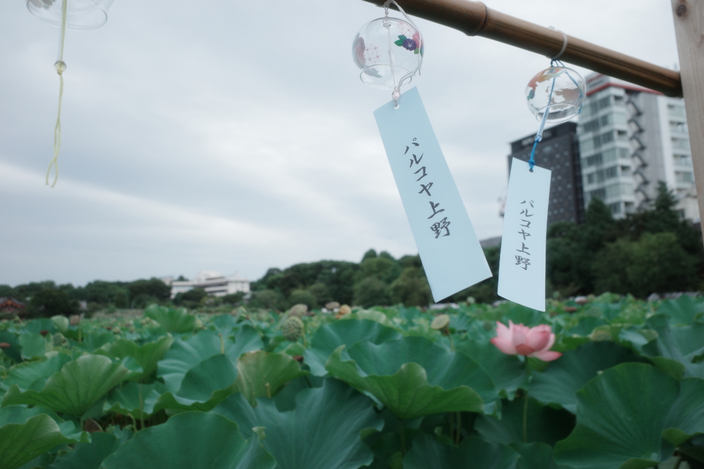 パルコヤ上野