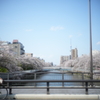 まだまだ見頃