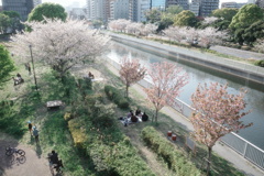 まだまだ見頃