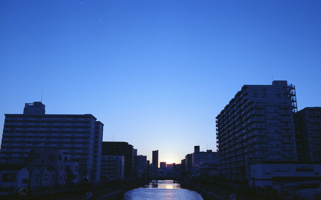 花粉光輪フィルム編